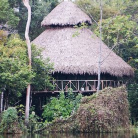 Amazonas I