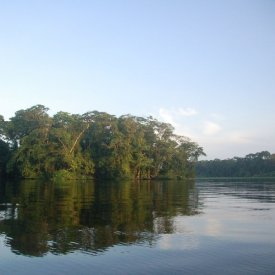 Tortuguero