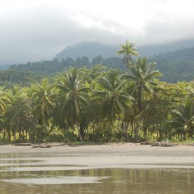 Pacific beaches