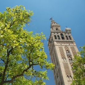 Sevilla: Santa Cruz, el Arenal y Triana