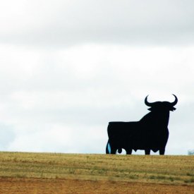 Vuelta a casa