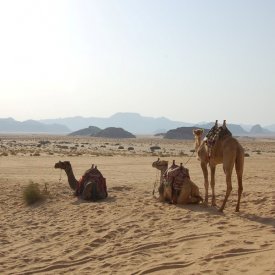 Wadi Rum