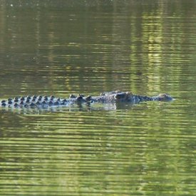 Parque Nacional Kakadu