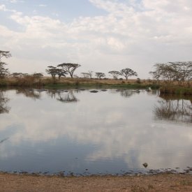 Lake Manyara