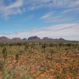 Kings Canyon