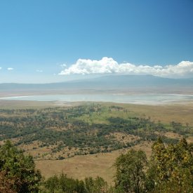 Ngorongoro