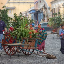 Llegada a Antigua