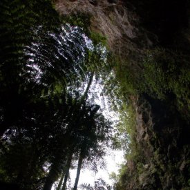 Waitomo Caves