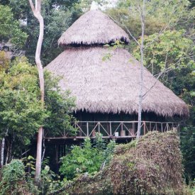 Amazon River