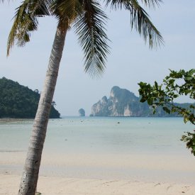 Phi PhiIslands: Phi Phi Don, Mosquito Island and Bamboo Island.