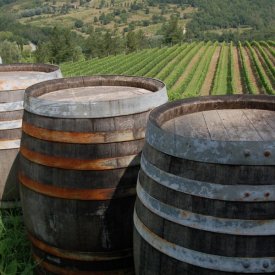 Siena and the north of Tuscany