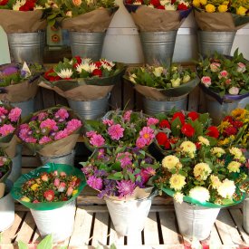 Markets in Amsterdam, the 9 Streets and Joordan