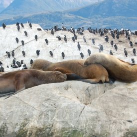 De Ushuaia a El Calafate