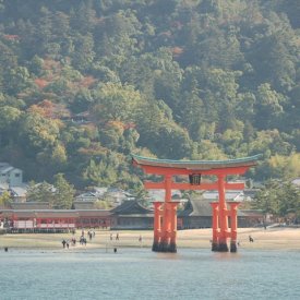 Isla Miyajima y traslado a Tokio