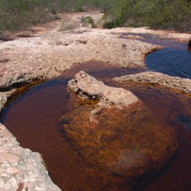 Excursión a pie por el parque y desplazamiento a Salvador