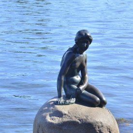 The Mermaid, the historical center and Vesterbro