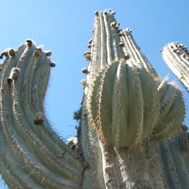 De Salta a Purmamarca