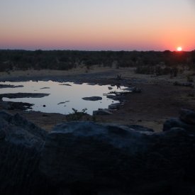 From Twyfelfontein to Etosha Park