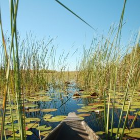 Okawango Delta