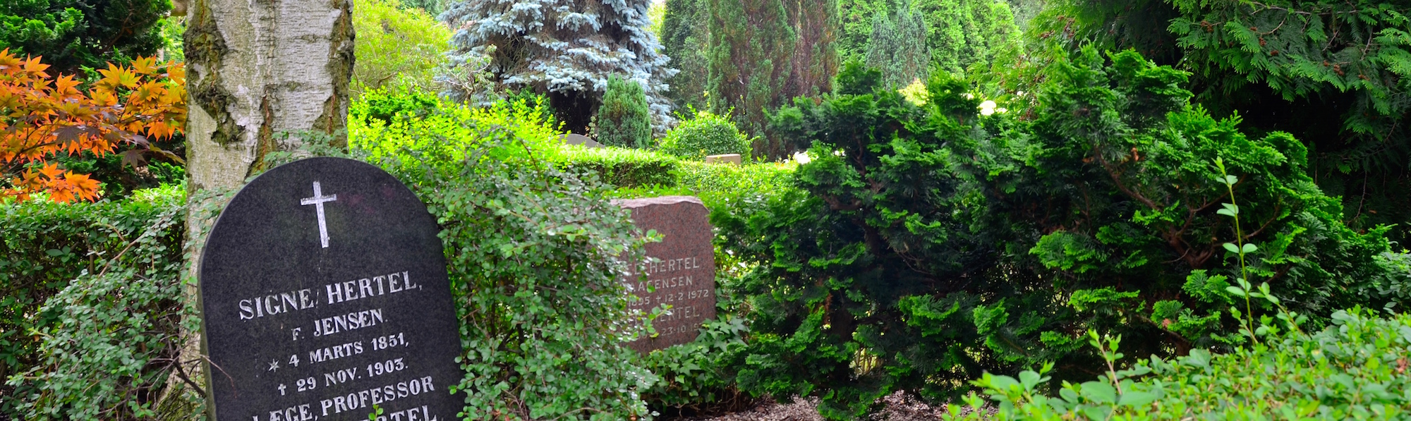 Cementerio de Assistens, Compenhague