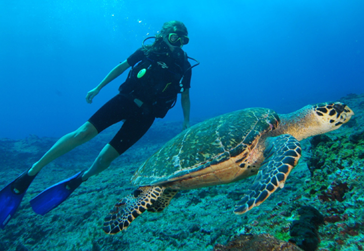 viajar a Fernando de Noronha en 5 días