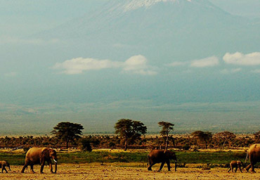 Kenya in 9 days for independent travellers