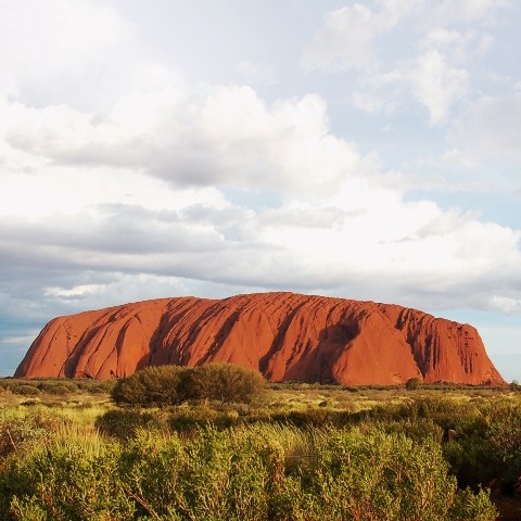 Antonio viajó a Australia y Japón