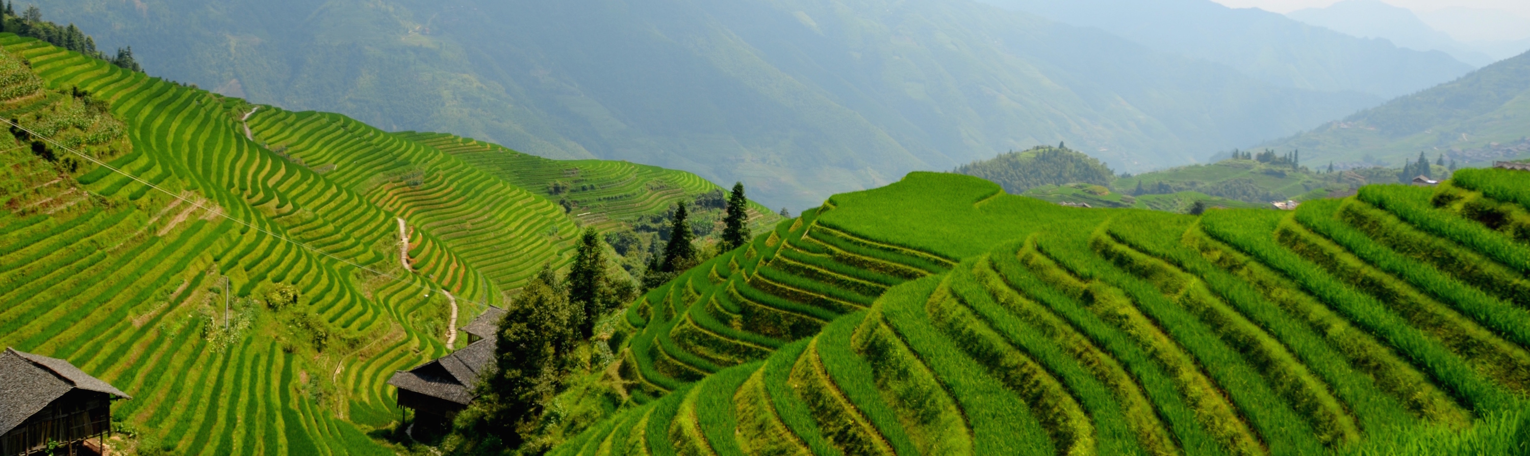 Terrazas arroz Longji, Guilin, China